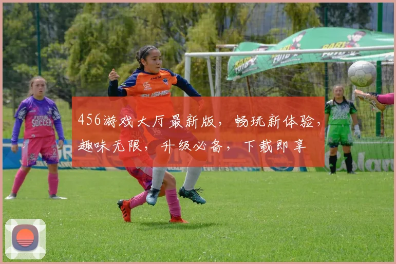 456游戏大厅最新版，畅玩新体验，趣味无限，升级必备，下载即享