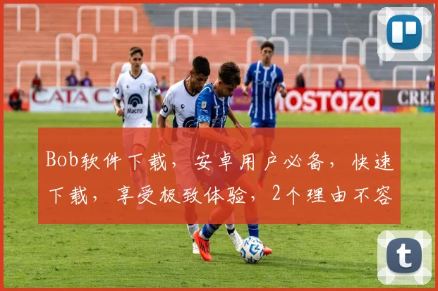Bob软件下载，安卓用户必备，快速下载，享受极致体验，2个理由不容错过