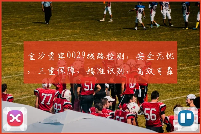 金沙贵宾0029线路检测，安全无忧，三重保障，精准识别，高效可靠，让您畅享娱乐